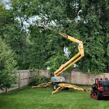 Best Lawn Irrigation Installation and Maintenance  in Pacific Grove, CA