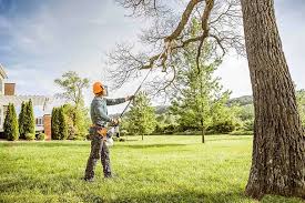 Best Root Management and Removal  in Pacific Grove, CA