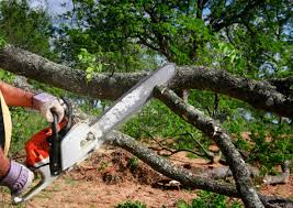Best Pest Control for Lawns  in Pacific Grove, CA